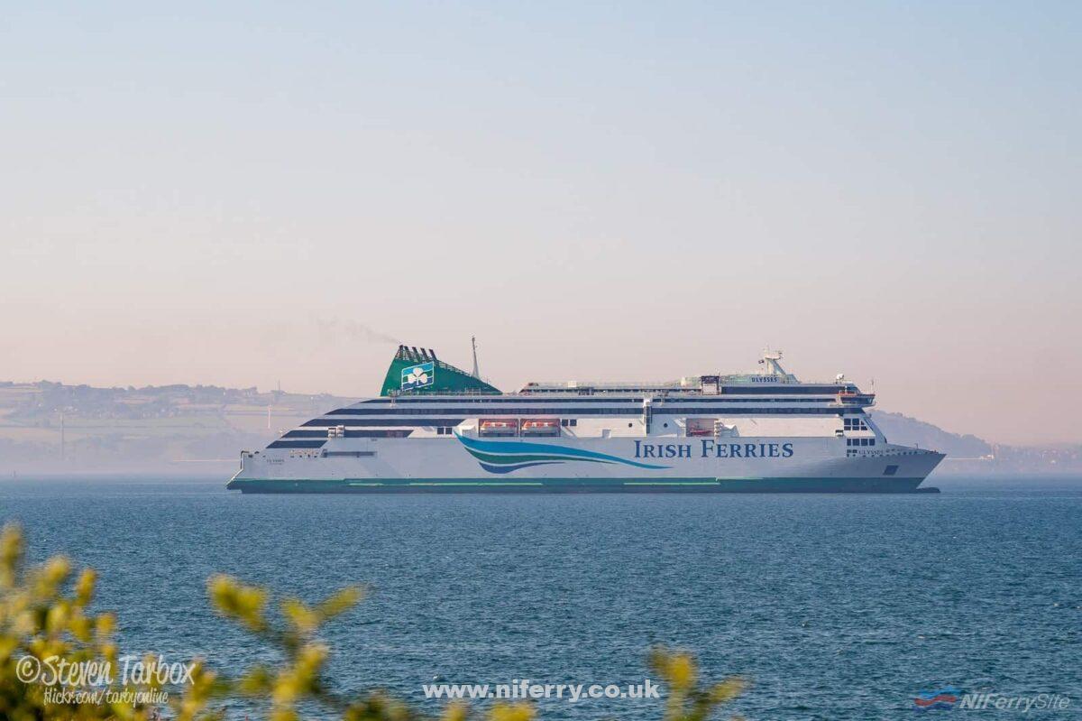 Irish Ferries’ ULYSSES at anchor off Bangor 27/06/18. She is pictured waiting to enter Belfast Dry Dock two days later for the emergency replacement of a propeller shaft. Copyright © Steven Tarbox.